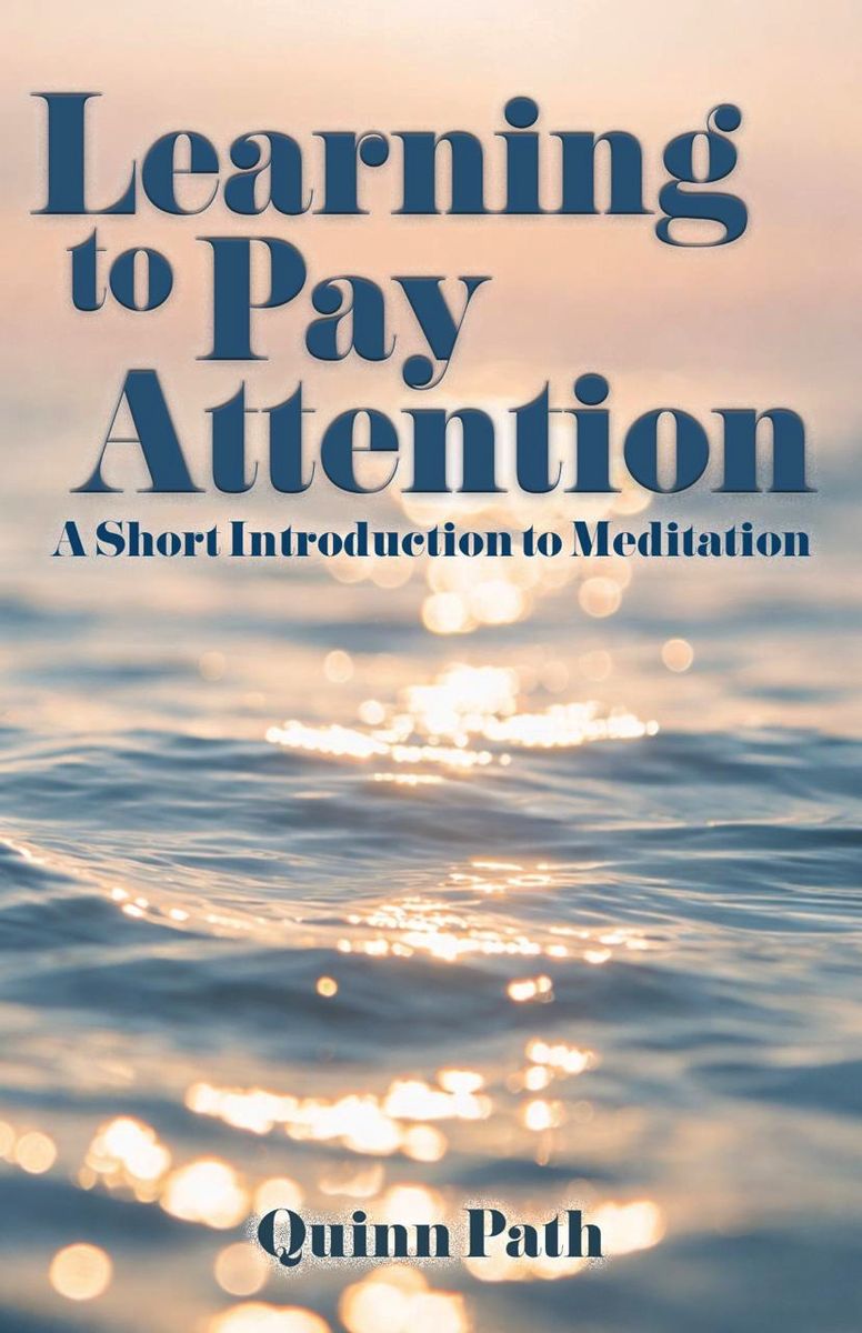 Cover of Learning to Pay Attention